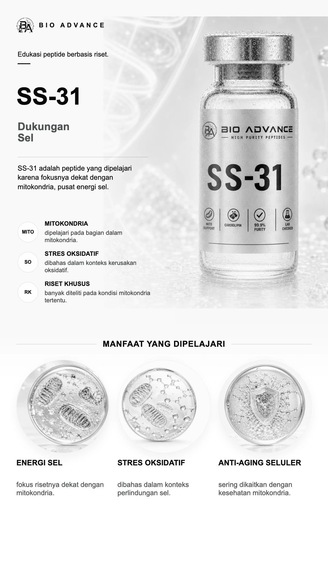 Poster edukasi SS-31, ringkasan cara kerja dan konteks risetnya